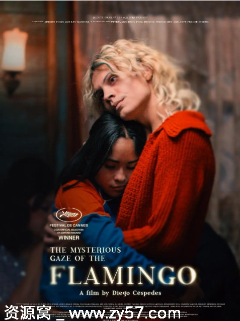 弗拉明戈的神秘眼神海报