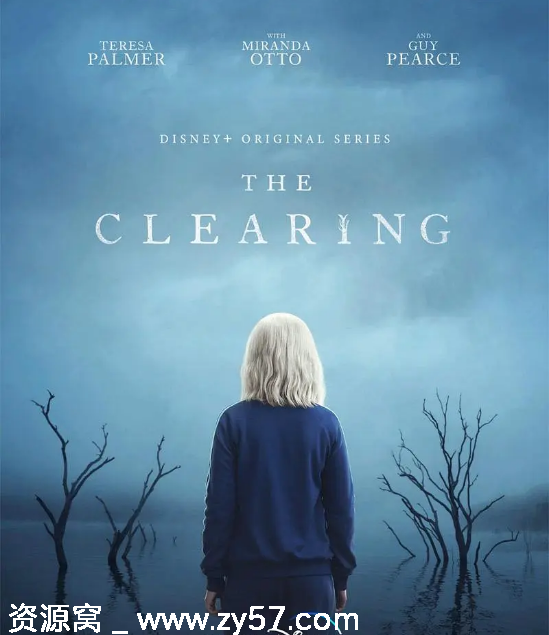 澳大利亚连续剧《晴空》2023剧情悬疑惊悚豆瓣6.6分资源分享 - 零零盘