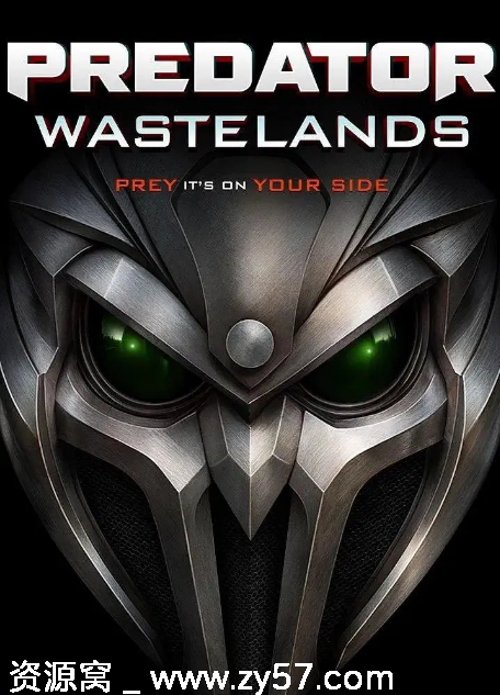 美国电影《铁血战士：荒原》2025动作科幻冒险高清完整版下载 - 零零盘