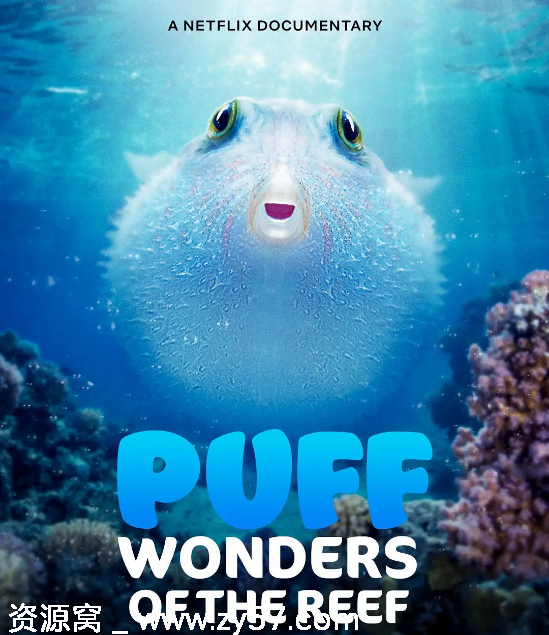 高清纪录片推荐《河豚之家：神奇的珊瑚礁》2021豆瓣8.5分澳大利亚海洋生态探索 - 零零盘