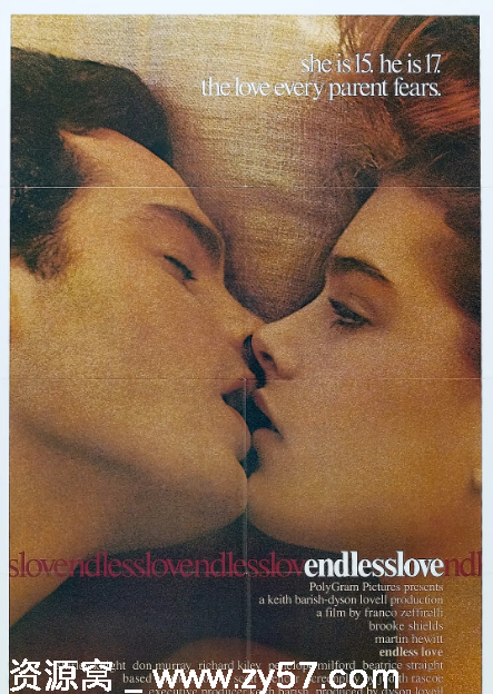 美国电影《无尽的爱》（1981）剧情详解/爱情电影推荐 豆瓣评分6.6 - 零零盘