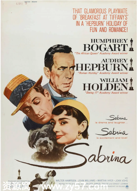 电影《龙凤配》海报