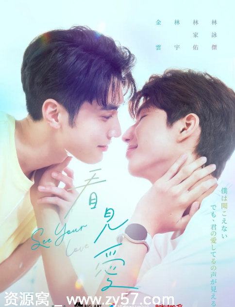 台剧推荐《看见爱》2024年剧情爱情同性犯罪豆瓣评分7.9 - 零零盘