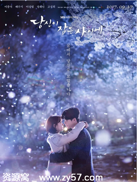 韩剧《当你沉睡时》2017 爱情奇幻 豆瓣8.4评分不容错过 - 零零盘