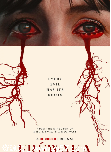 爱尔兰电影《追远寻根》2024高清资源分享 - 零零盘