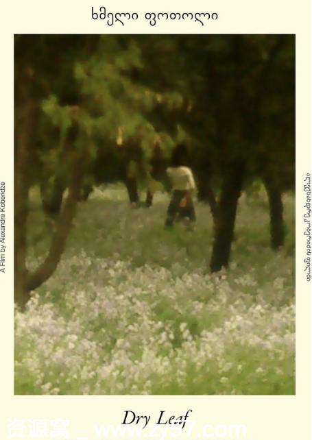 德国电影《落叶球》2025剧情解析 豆瓣评分7.3 - 零零盘