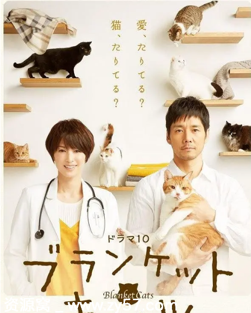 日剧推荐毛毯猫2017剧情解析/爱情故事豆瓣评分8.1 - 零零盘