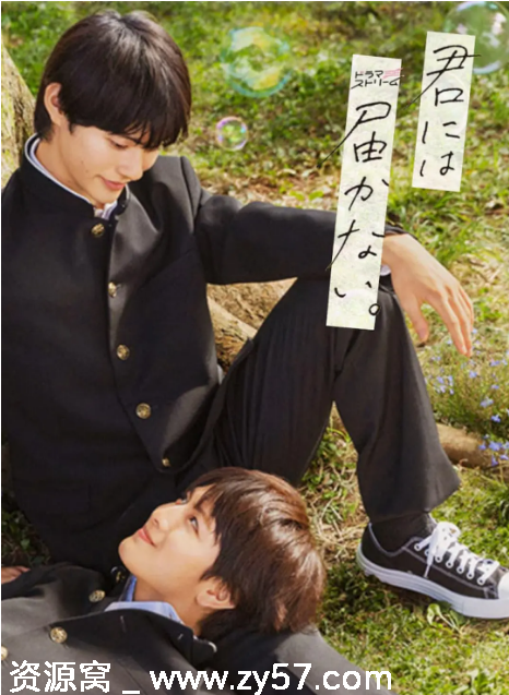 日剧推荐《无法传达给你》2023年剧情爱情同性豆瓣8.0评分 - 零零盘