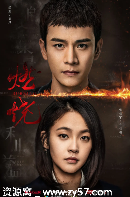 燃烧电视剧海报