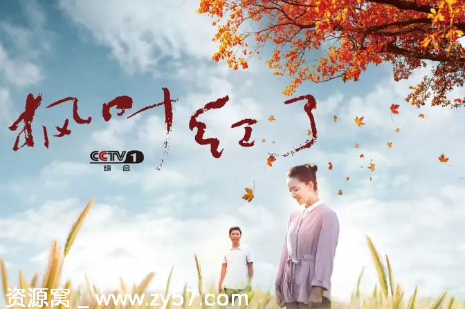 国剧推荐 枫叶红了2020剧情深度解析 豆瓣评分6.2 - 零零盘