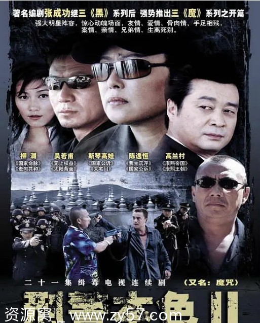 国剧刑警本色2（2007）剧情解析/犯罪题材剧集 - 零零盘