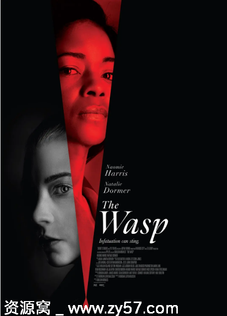 美国电影《黄蜂螫》2024惊悚版 豆瓣评分5.7资源分享 - 零零盘