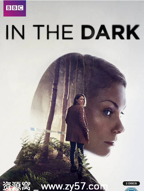 英剧《身在暗处》2017剧情解析/犯罪题材豆瓣评分6.8 - 零零盘