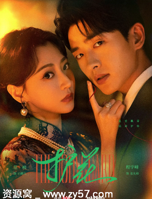 国剧短剧《护花》2025年爱情短片免费观看 - 零零盘