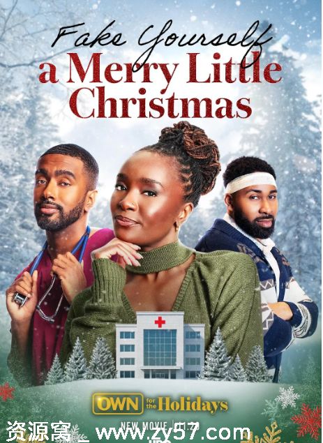 美国电影《假装自己过了一个快乐的小圣诞节》（2025）高清资源分享 - 零零盘