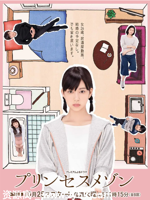 日剧推荐 公主小屋2016剧情解析 豆瓣评分7.8 - 零零盘